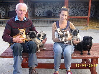Dogs stolen from pet farm in C...